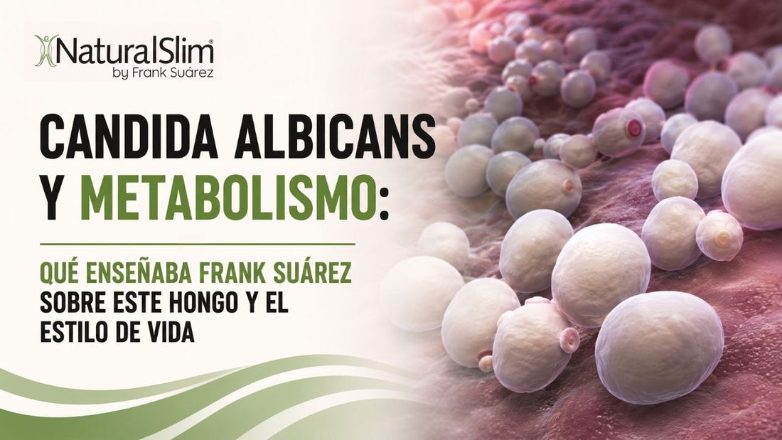 Candida albicans y metabolismo: qué enseñaba Frank Suárez sobre este hongo y el estilo de vida - NaturalSlim USA
